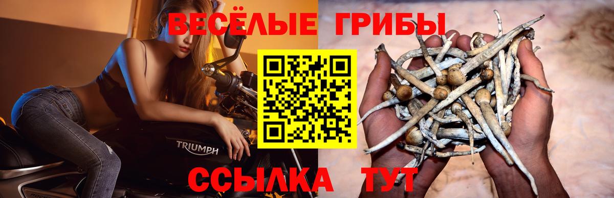 Псилоцибиновые грибы ЛСД Миллерово