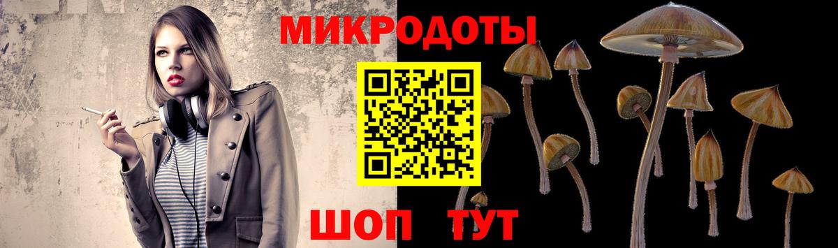 Миллерово  Псилоцибиновые грибы Cubensis  цена наркотик  Вход с VPN 